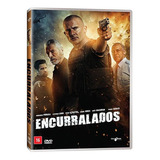 Dvd Encurralados Original Lacrado