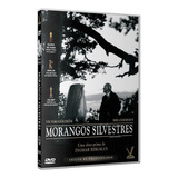 Dvd Morangos Silvestres - Original (lacrado)