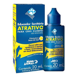 20ml