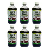 Elixir Inhame Depurativo Sangue Caixa 6