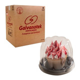 Embalagem Galvanotek G690 Cupcake/mini Panettone - 50un.