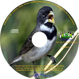 Encarte Tui Tui 3ª Nota Clássico Envio Via E-mail