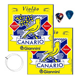 Encordoamento Giannini Canário Nylon C/ Cx C/02 E Acessórios