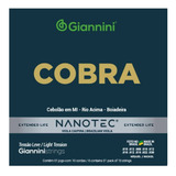 Encordoamento Giannini Viola Caipira Cebolao E Mi Nanotec
