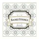 Encordoamento Strinberg Banjo Bj5 Americano