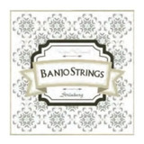 Encordoamento Strinberg Banjo Bj5 Americano