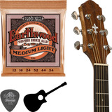 Ernieball