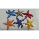 Enfeite Aquário Estrela Do Mar Color - 6 Unidades