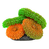 Enfeite Aquario Soma Coral Ricordea Verde E Laranja 