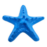 Enfeite De Aquário Em Resina Estrela Do Mar Colorida