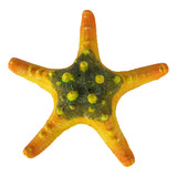 Laranja