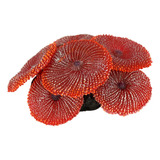 Enfeite De Silicone Soma Coral Ricordea Vermelha 02