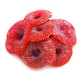 Enfeite De Silicone Soma Coral Ricordea Vermelha 02