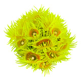 Enfeite De Silicone Soma Coral Zoanthus Amarelo 04