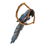 70cm