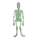 Enfeite Esqueleto Neon Para Decoração Festa