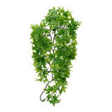 Enfeite P Terrário Zoomed Congo Ivy Bu-22 Répteis Anfíbios
