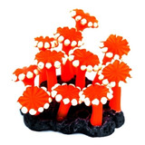 Enfeite Soma Coral Zoanthus Palithoa Laranja