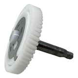 Dentes