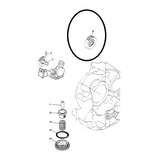 Engrenagen Da Bomba Óleo Virago 250 Original