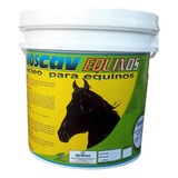 Equinos Cavalos Éguas Prenha Potro Manga Larga Ração 10 Kg