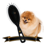 Escova Spitz Alemao Anão Lulu Da Pomerania - Original 