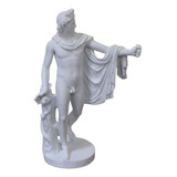 Escultura Apollo Belvedere 25 Cm
