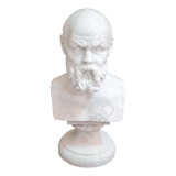Escultura Busto Socrates 10cm