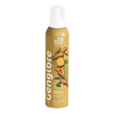 Espuma De Gengibre Moscow Mule Begin 200ml Drinks 