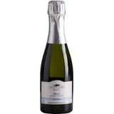 Espumante Brasileiro Branco Brut Club Des Sommeliers Serra Gaúcha Garrafa 187mlclub Des Sommeliers 187 Ml