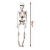 Esqueleto Arte Esboço Médico Aprendizagem Anatomia Medicina