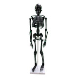 Esqueleto Black 85 Cm Modelo Anatômico Humano Para Estudo