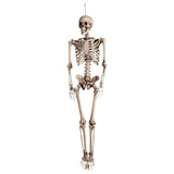 Esqueleto Corpo Humano 40 Cm Medicina