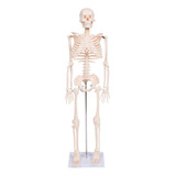 Esqueleto De 85 Cm - Branco