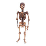 Esqueleto Humano Quebra Cabeça 3d Mdf