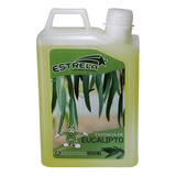 Essência De Eucalipto Natural Sauna 1