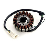 Estator Honda Cbx 250 Twister 2001 A 2008 Moto Magnetron