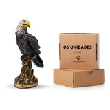 Estátua Gavião Peq Em Gesso Espanta Pombos - Kit 6 Peças