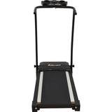Bivolt