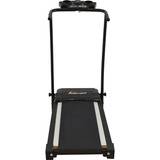 Bivolt