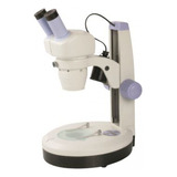Estereomicroscopio Aumento 160x
