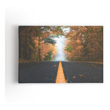 Estrada Paisagem Árvores Fotografia Quadro Canvas 120x80cm