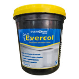 Evercol 1l Adesivo Para Argamassa E
