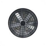 110v