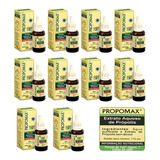 Extrato De Própolis Sem Álcool Propomax 30ml Kit C/ 10