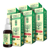 Extrato De Própolis Verde 70 Apis Flora 30 Ml - Kit 6 Unids