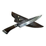 Taura