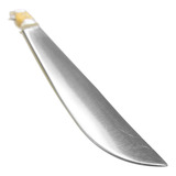 Carbono