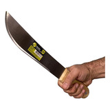 Bater