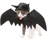 Fantasia Morcego Pet Halloween Roupas Gato Cachorro Cosplay